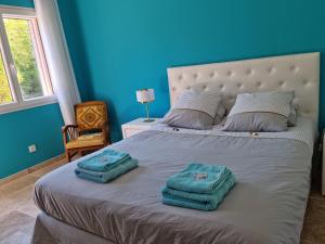 Maisons d'hotes L'EDEN PROVENCAL : Chambre Lit King-Size Deluxe