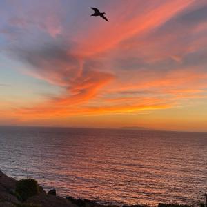 Luxury Home I LENTISCHI img56