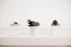 Balabuska Rooms & Garden