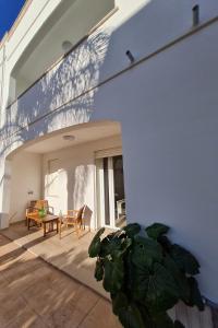 Palis Rooms & Lodges