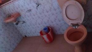 Alisha Homestay