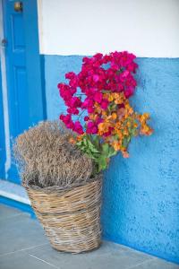 Petroula Apartments Kalymnos Greece