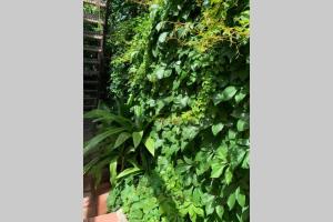 Casa tranquilla a pochissimi passi dal mare img28