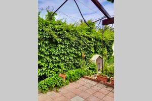 Casa tranquilla a pochissimi passi dal mare img32