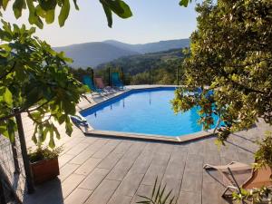 Studio charmant avec piscine partagée à Draguignan, 42 m²
