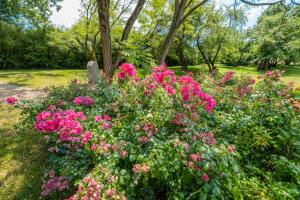 Villas Manoir Historique avec piscine et grand jardin a la francaise : photos des chambres