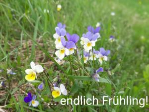 Fewo an der Teufelskanzel