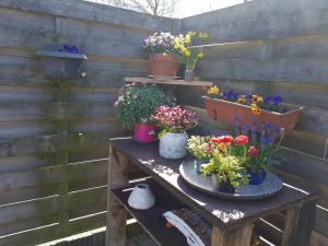Solstice, quiet cottage in Bruinisse, Zeeland