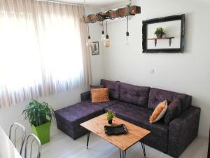 Elyon Apartment 2