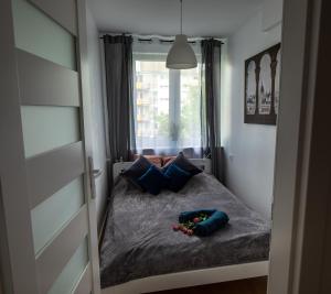 Apartament Iga