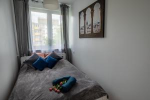 Apartament Iga
