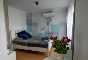 Apartament Ola