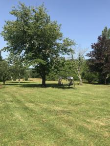 Campings Dordogne Glamping : photos des chambres