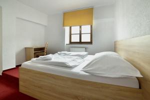 Triple Room room in Pivovarský dvůr Lipan
