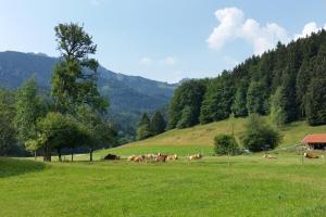 Gschwendtnerhof App13 Lincke