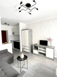 1-комнатная уютная смарт квартира-студия - Posëlok Chokolovka