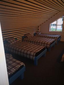 Palūšės Kempingas (kambariai)