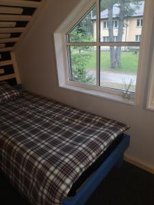 Palūšės Kempingas (kambariai)