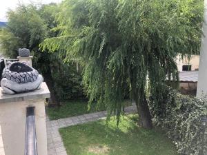DUPLEX ALPINO