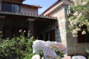 Villa Polytimi - 4hvězdičkové hotely ve městě Vonitsa