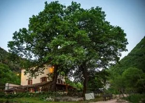 Agriturismo le due querce - Legogne