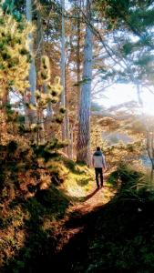 Campings Les Hortensias grande tente familiale 2 chambres et sejour sur camping familial pres des plages : photos des chambres