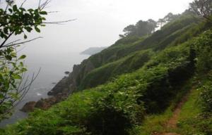 Campings Les Hortensias grande tente familiale 2 chambres et sejour sur camping familial pres des plages : photos des chambres