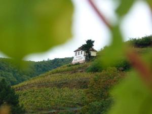 Maisons d'hotes Domaine Jean Sipp : photos des chambres