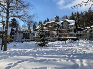 Savoy Exclusive Mountain Apartment