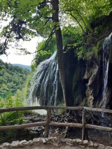 Apartment Ivan & Iva 