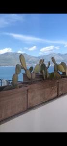 Le Suite Guarinelli B&B