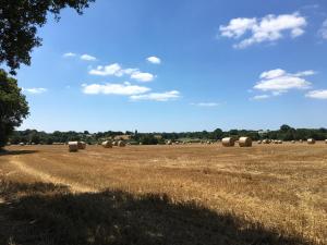 B&B / Chambres d'hotes Domaine du Lesty : Chambre Lits Jumeaux - Vue sur Jardin