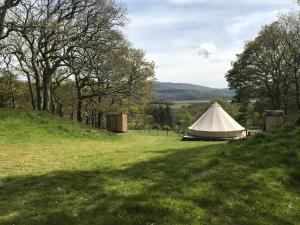 Cefn Crib Glamping