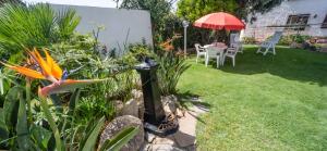 Casa Vacanze " IS MERIS " img19