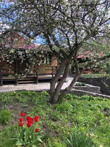 Будинок для відпочинку в лісі