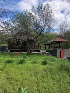 Дом для отдыха в лесу - Soshnikov