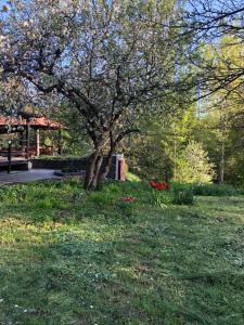 Будинок для відпочинку в лісі