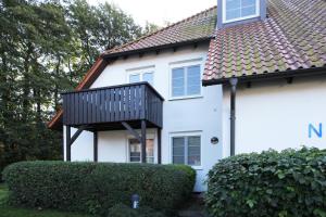 Kormoran Wolke 7