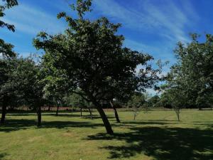 Maisons de vacances Gite LA ROCHERIE : photos des chambres