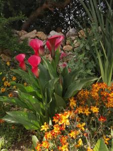 Da Mario & Marianna img7