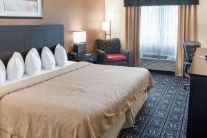 King Room - Non-Smoking room in Quality Inn & Suites