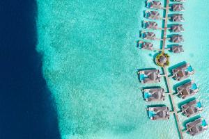 Finolhu, A Seaside Collection Resort, a Member of Design Hotels