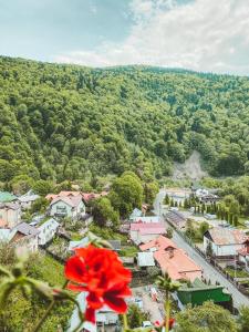 Relax Apartment Sinaia