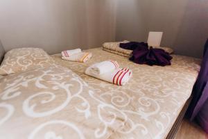 — Premium apartment —