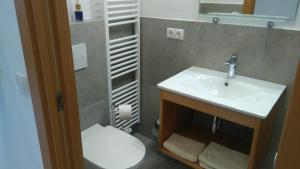 Haus Möltner - Apartment 1927