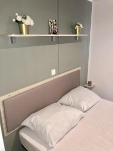 MOBILHOME 3 CH CAMPING 4*