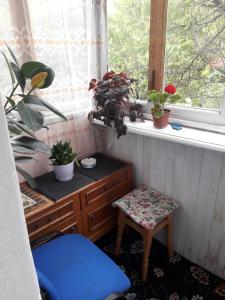 Blue room. Lviv squre.