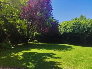 Appartements Les Charmilles : photos des chambres