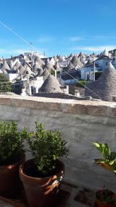 Historich house Largo Martellotta 44