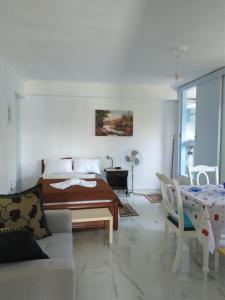 Sissy Apartments by the sea Lefkada Greece